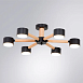 Потолочная люстра Arte Lamp TENDA A1624PL-6BK - фото