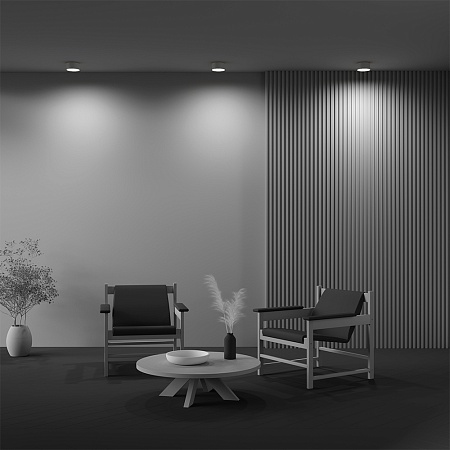 Потолочный светильник Technical Zon C032CL-12W3K-RD-MG - фото