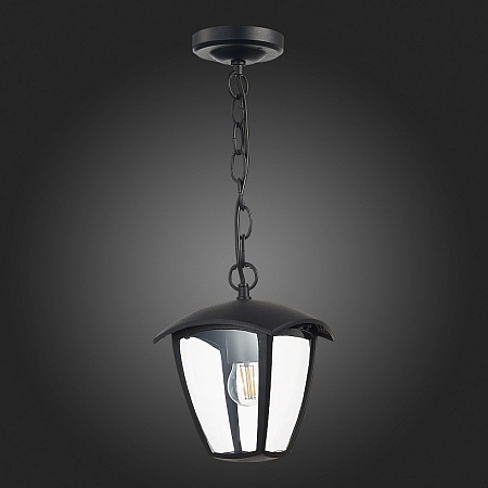 Светильник уличный подвесной ST-Luce Черный/Черный, Прозрачный E27 1*40W SL081.403.01 - фото