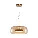 Подвесной светильник Arte Lamp PADOVA A2404SP-33AM - фото