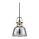 Подвесной светильник Maytoni Irving T163-11-C - фото