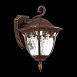 Светильник уличный настенный ST-Luce Кофейный/Кофейный, Прозрачный E27 1*60W SL083.701.01 - фото