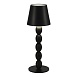 Прикроватная лампа ST-Luce Черный/Черный LED 1*3W 3000-6000K SL1011.404.01 - фото
