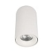 10220 White 4000K Потолочный светильник LOFT IT Tictac - фото