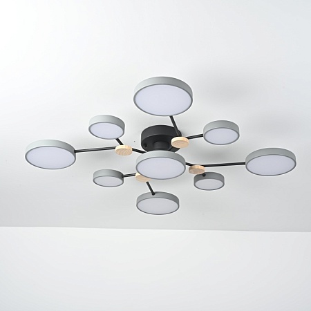 Потолочная Люстра Gamma D98 Grey Imperiumloft 223766-23 - фото