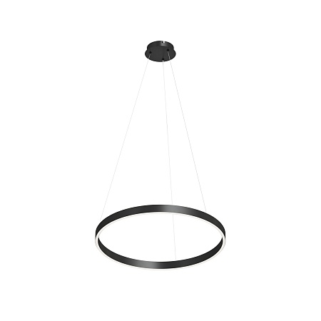 Потолочный подвесной светильник Denkirs DK6272-BK - фото