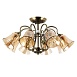 Потолочная люстра Arte Lamp NICOLE A2702PL-8AB - фото