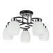 Потолочная люстра ARTE LAMP A4505PL-5BK - фото