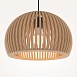 Подвесной светильник Maytoni Roots MOD195PL-01W - фото