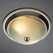 Потолочный светильник Arte Lamp ALTA A3011PL-2SS