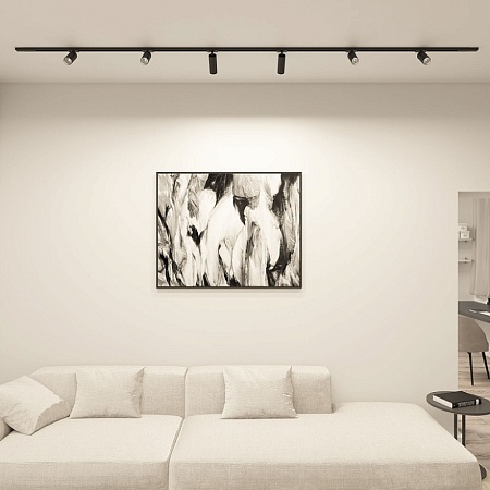 Светильник на шине Denkirs Scope DK6060-BK - фото