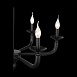 Люстра подвесная ST-Luce Черный E14 6*40W SL1114.403.06 - фото