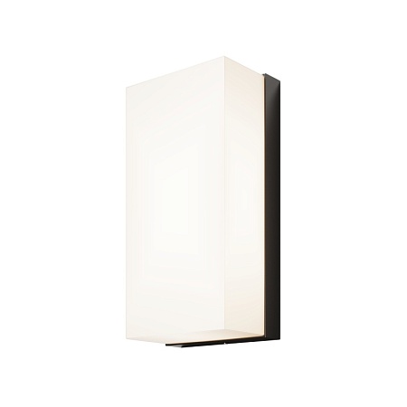 Настенный светильник (бра) Outdoor Badd O454WL-L10GF3K - фото