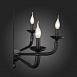 Люстра подвесная ST-Luce Черный E14 6*40W SL1114.403.06 - фото