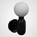 Бра Parachilna Aballs Black D15 Imperiumloft 184494-22 - фото
