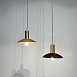 Подвесной Светильник Wood Dark Brown Imperiumloft 219479-26 - фото