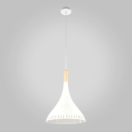 Подвесной акцентный светильник Eurosvet 50074/1 - фото