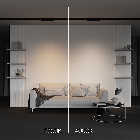 Трековый светильник Technical BASIS TR196-3-10W4K-B - фото