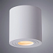 Точечный накладной светильник Arte Lamp GALOPIN A1460PL-1WH - фото
