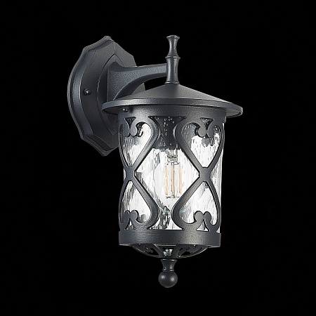 Светильник уличный настенный ST-Luce Черный/Черный, Прозрачный E27 1*60W SL085.411.01 - фото