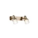 Спот Freya Arlette FR7003WL-02BZ - фото