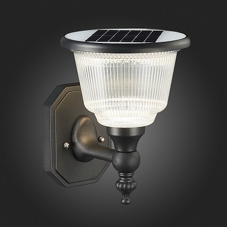 Светильник уличный настенный ST-Luce Черный/Черный, Прозрачный LED 1*2W 3000-6000K SL9502.401.01 - фото