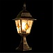 Ландшафтный светильник ARTE LAMP A1014FN-1BN - фото