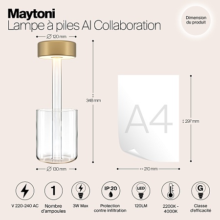 Аккумуляторный светильник Maytoni AI Collaboration MOD229TL-L3G3K1 - фото