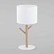 Настольный светильник TK Lighting 5571 Albero White - фото