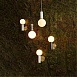  Divinare 1830/53 AP-1 - фото