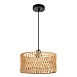Подвесной светильник Arte Lamp BRUSHWOOD A7088SP-1BK - фото