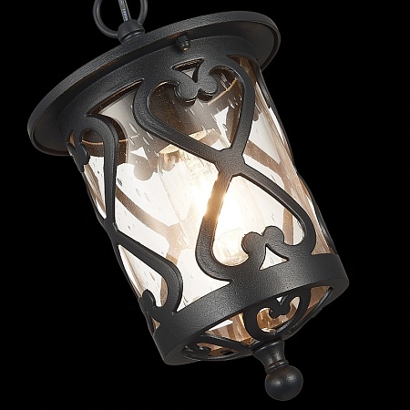 Светильник уличный подвесной ST-Luce Черный/Черный, Прозрачный E27 1*60W SL085.403.01 - фото